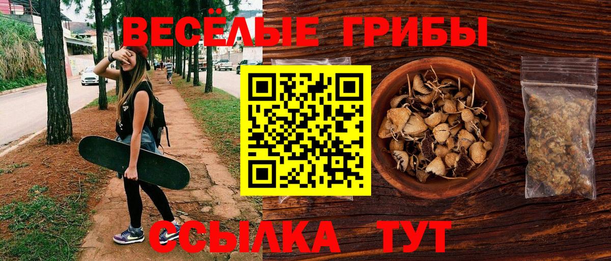 купить  сайты  Вход с VPN  Алушта  Галлюциногенные грибы MAGIC MUSHROOMS 